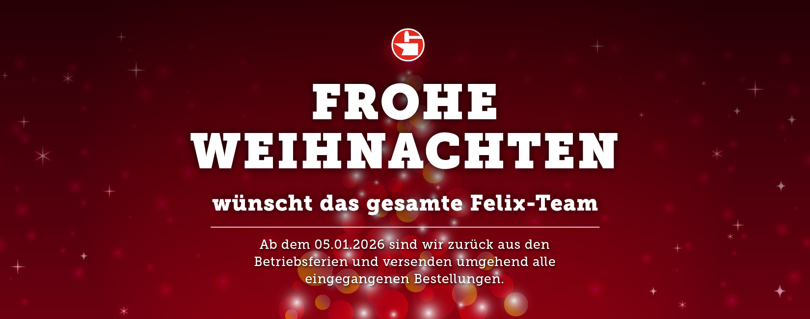 Banner Weihnachten 2025